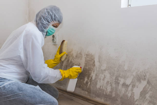 Crawl Space Mold Removal in Scott City, KS