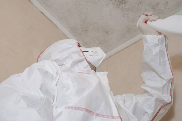 Water Damage Restoration in Scott City, KS