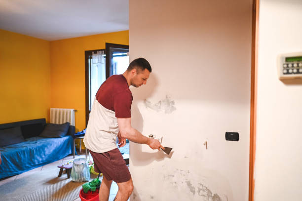 Best Professional Mold Removal  in Scott City, KS